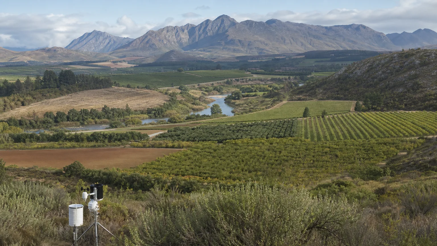 Agricultural field observations viewed across a wider regional growing landscape
