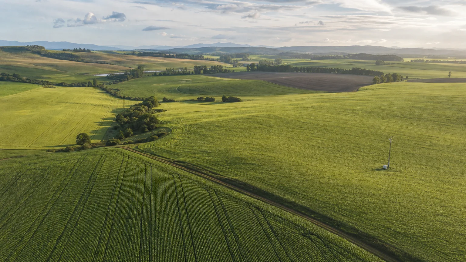 Wide agricultural landscape showing field-level variation and limited ground instrumentation across a large growing area.